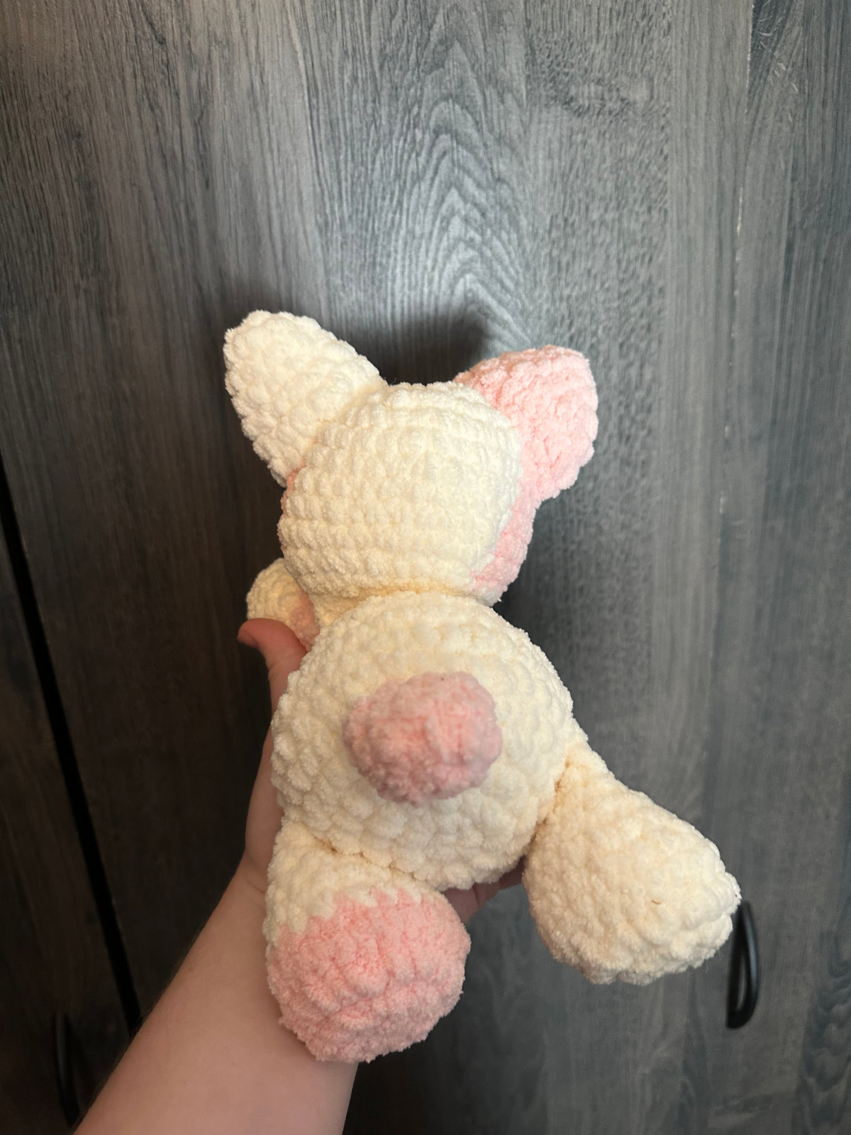 Pink and White Kitty